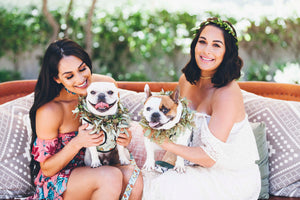 Brie Bella's El Chorro Baby Shower