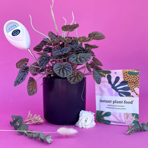 Plant Mama Gift Box