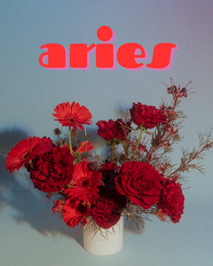 Aries